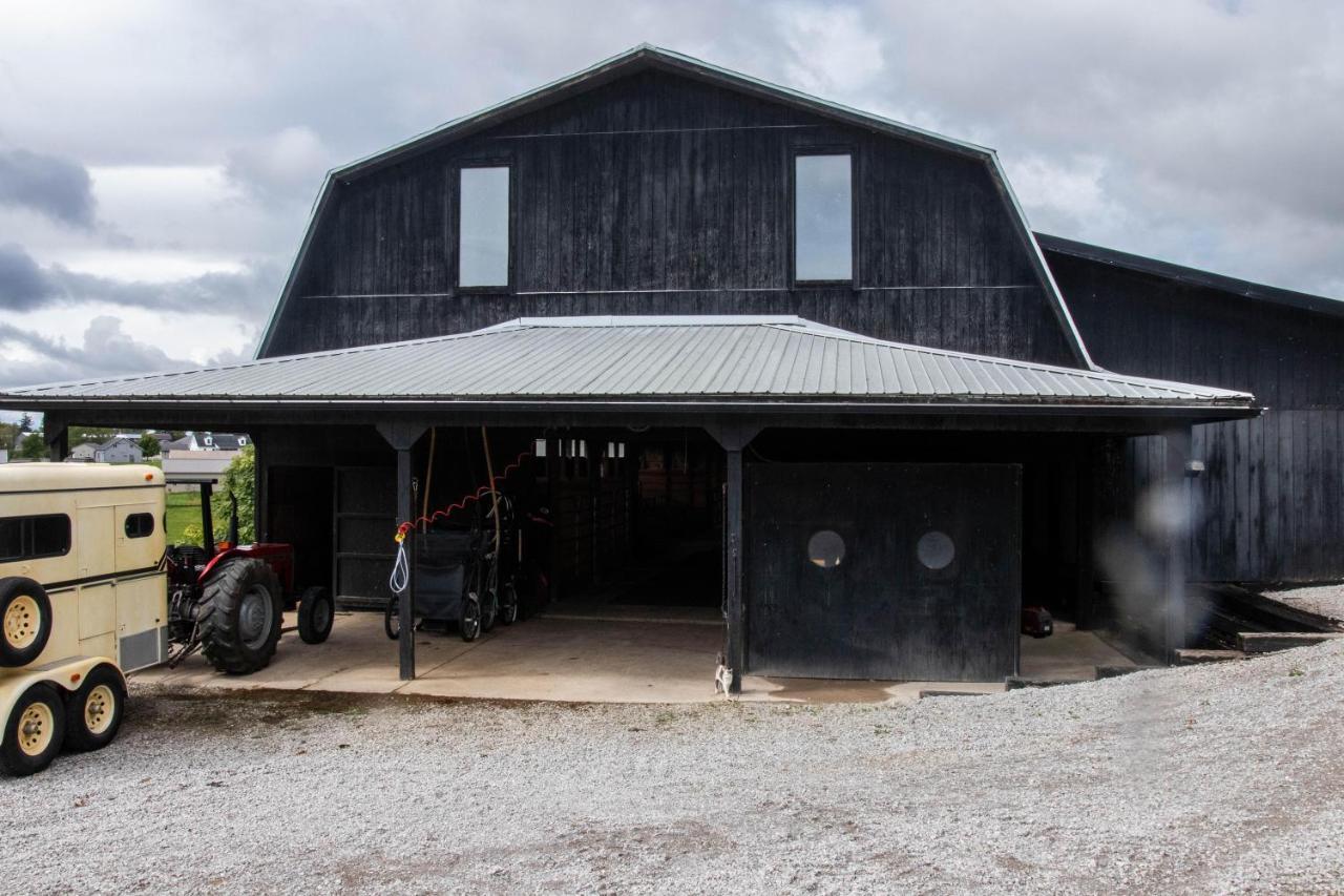 Farmhouse Of Blessings Dundee Exterior photo